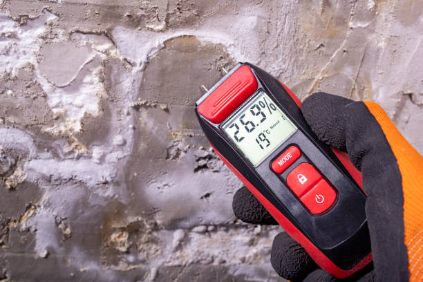 Best Attic Mold Removal  in Oakdale, CA