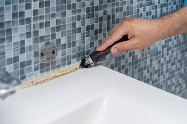 Mold Removal and Inspection in Oakdale, CA