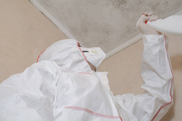 Best Local Mold Removal Service  in Oakdale, CA