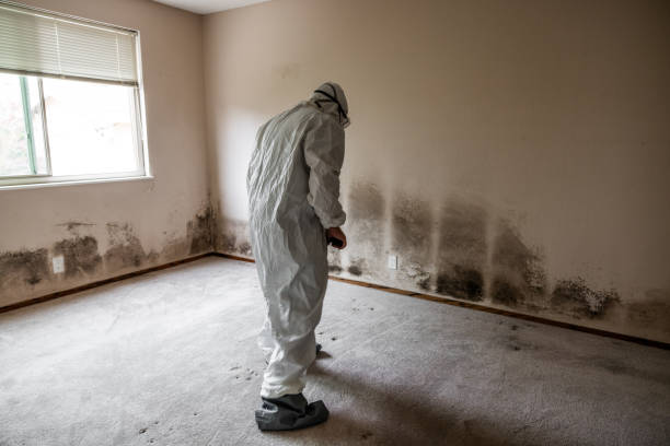 Best Mold Removal and Inspection  in Oakdale, CA